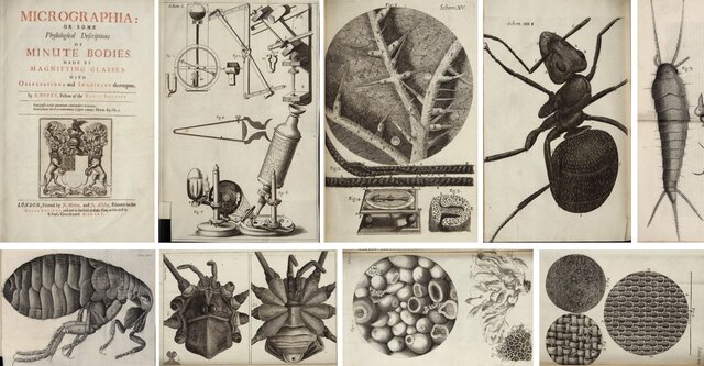 Se publica la obra  “Micrographía” por Robert Hooke