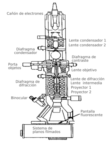 Creación del microscopio electrónico por el físico alemán Erns Ruska