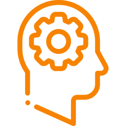 Se ve al consumidor como un ser racional.