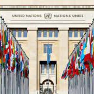 Timeline: O R G A N I S M O S    I N T E R N A C I O N A L E S