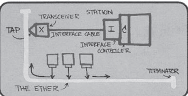 Proliferación de las redes: 1980-1990