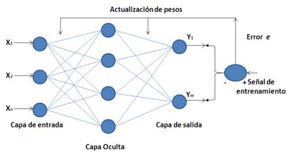 Retropropagación (Backpropagation)