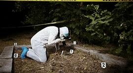 Timeline: Fotografía Forense Linea de Tiempo