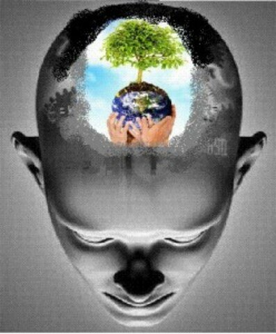 Aparición de la Psicología ambiental