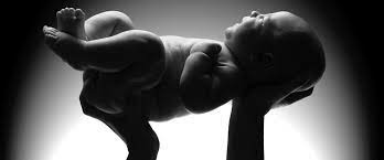 Out of my mother's uterus