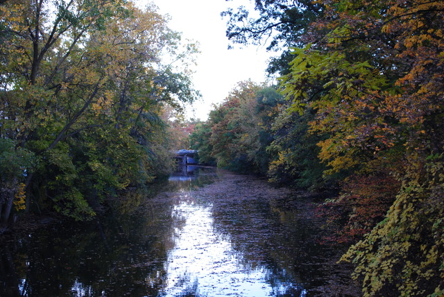 Red Cedar River Picture 1