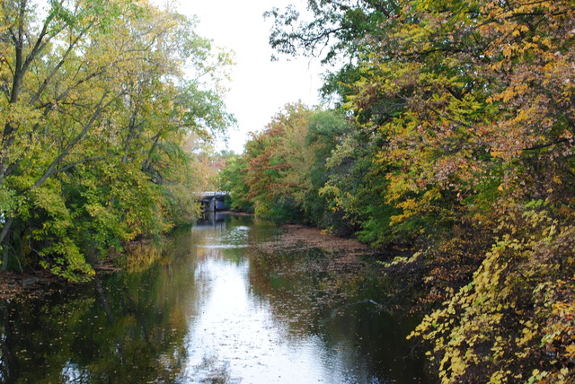 Red Cedar River Picture 2