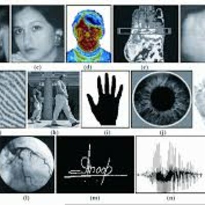 Timeline: Sistemas de Identificación a lo largo del Tiempo