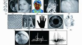 Timeline: Sistemas de Identificación a lo largo del Tiempo