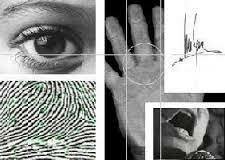 Introducción SISTEMAS DE IDENTIFICACIÓN