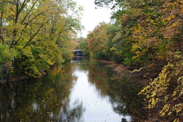 Red Cedar River Picture 3