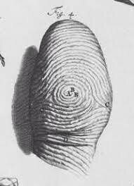 Impresiones Dactilares.