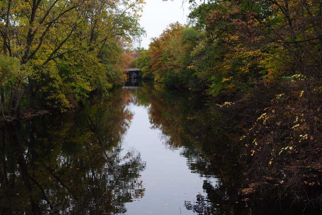 Red Cedar River Picture 4
