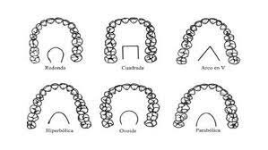 Sistema Dentario de Amoedo.