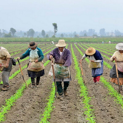Timeline: Contexto histórico de las políticas de atención a la ruralidad en Colombia