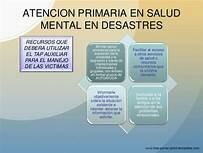 Programa de Atención Primaria en Salud Mental para Víctimas de Desastres