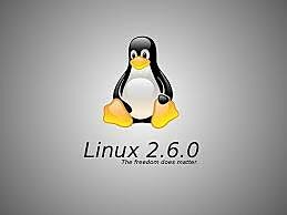 Serie 2,6 de Linux