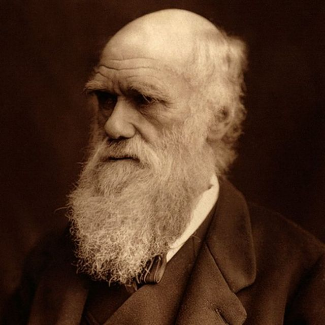 Charles Darwin (1809-1882