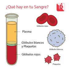 SANGRE
