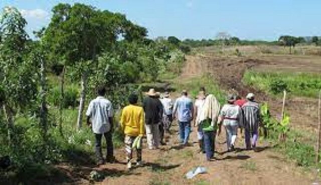 Violencia bipartidista