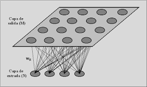 Mapas auto-organizados