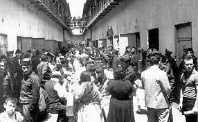 modelo de regeneracion social