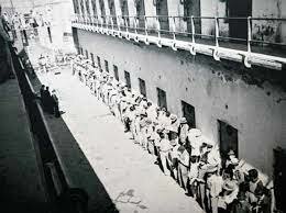 modelo de readaptación social