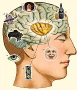 Modelo de Engel, Kollat y Blackwell