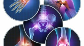 Timeline: HISTORIA DE LA ORTOPEDIA