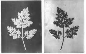 William Henry Fox Talbot