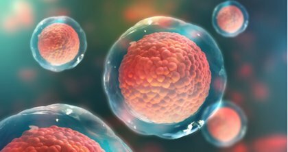 PROCESO DE LA OVULACIÓN