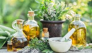 Publicación de la cuarta edición de la Nueva Farmacopea Mexicana.