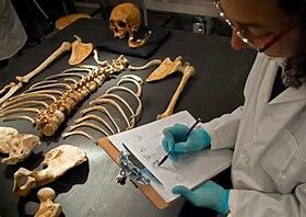 1876. La identificación del esqueleto humano un estudio médico legal