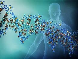 1986. Prueba de investigación criminal por medio del ADN
