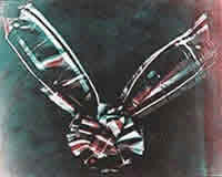 Primera foto a color