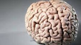 Timeline: Hilary Putnam (Kelley)