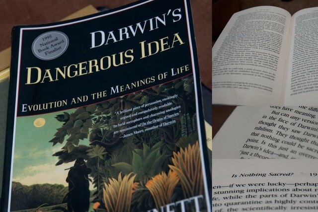 Published Darwin's Dangerous Idea(with video)