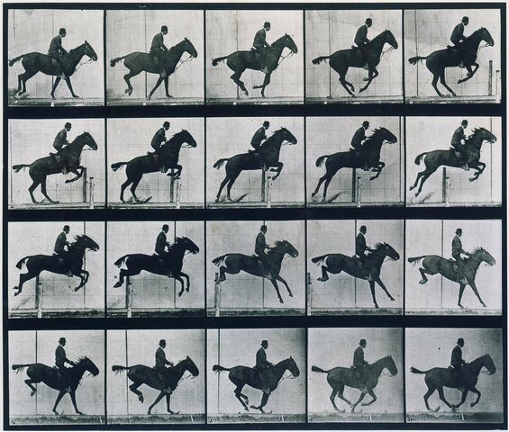 Eadweard Muybridge