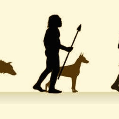 Timeline: Evolución del perro
