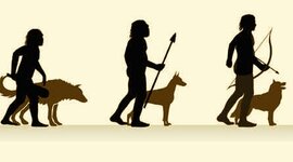 Timeline: Evolución del perro
