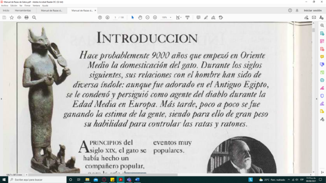 2900 a. Egipcios y los gatos.