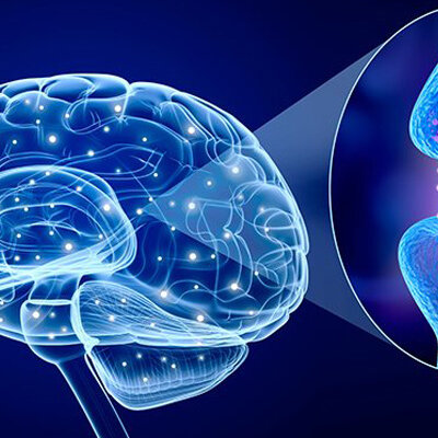 Timeline: ETAPAS DEL SUEÑO Y NEUTRANSMISORES