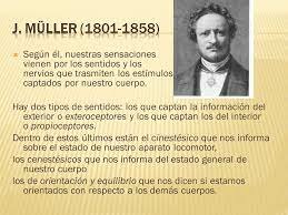 J Muller (EE.UU)