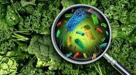 Timeline: Historia de la microbiologia en los campos agropecuarios