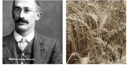 La Cebada, William Sealy Gosset,1899