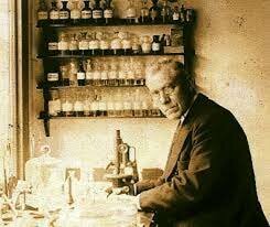 Bacterias en la agricultura