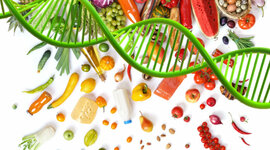 Timeline: Evolución de la nutrición molecular
