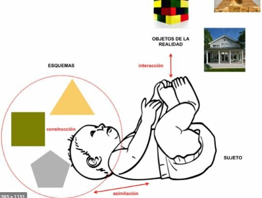 Asimilación y Acomodación