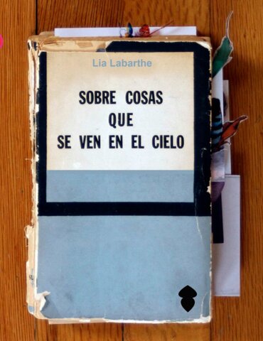 Licenciada en Diseño