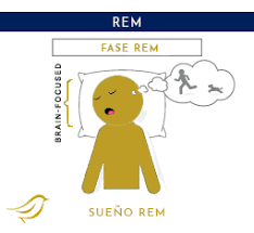 SUEÑO REM